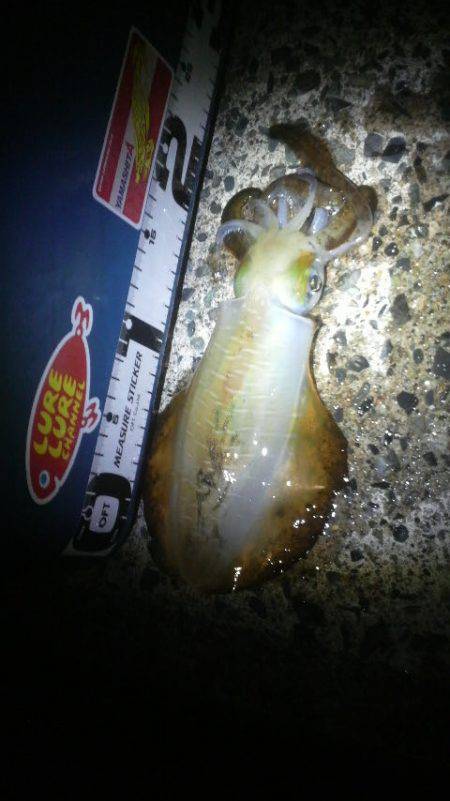 どこにお出かけですか？