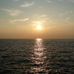 好調の太刀魚です