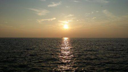 好調の太刀魚です