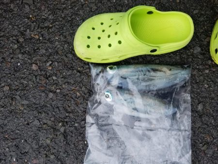 シャクリすぎで腕つった(--;)でも釣れた…