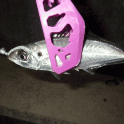 坊勢アジング(2017-14)