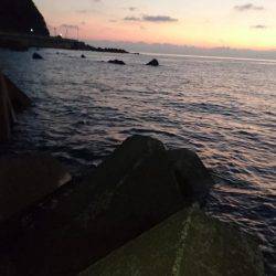 青物の回遊に不安