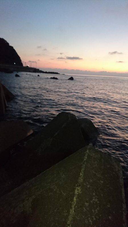 青物の回遊に不安