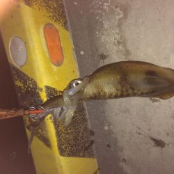 仕事終わりに、、、