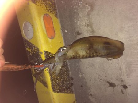 仕事終わりに、、、