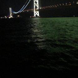 またまたデカイカ求めて！