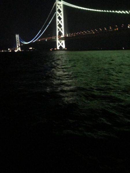 またまたデカイカ求めて！