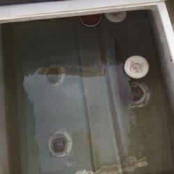 カンパチ、アジ