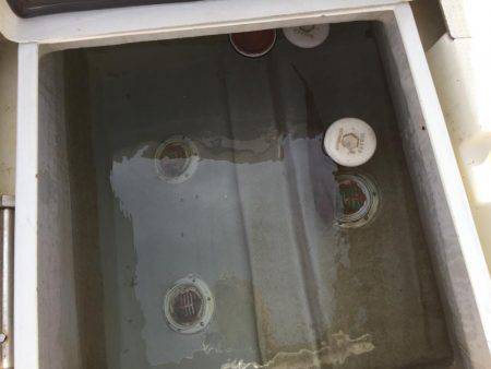 カンパチ、アジ