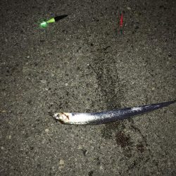 なんとか、ボウズは…。