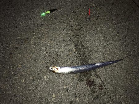 なんとか、ボウズは…。