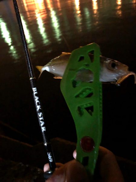 タチウオ狙いで行くも…