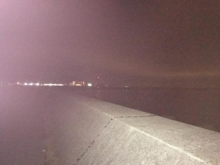 中アジ・中サバ