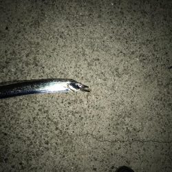 さっぱりです。