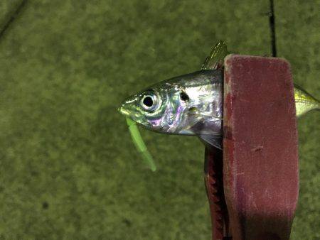 やばすぎる死ぬほど渋い