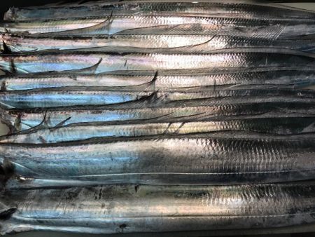 昼太刀イレブン