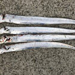 タチウオ専用ロッド