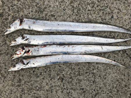 タチウオ専用ロッド