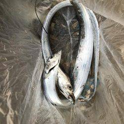 サイズが小さい