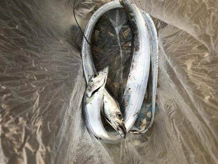 サイズが小さい