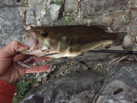 同じパターンでHit