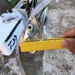 好調の武庫一！