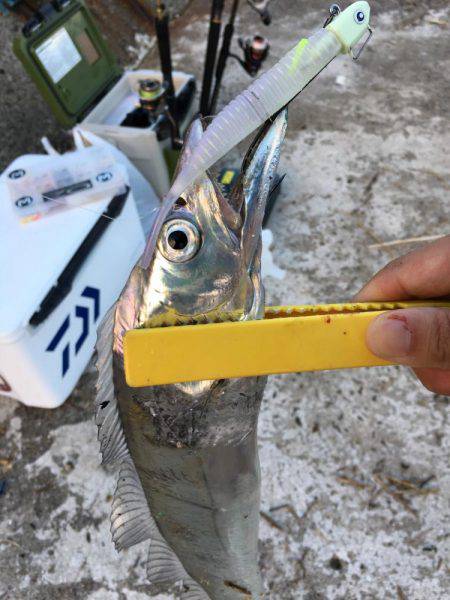 好調の武庫一！