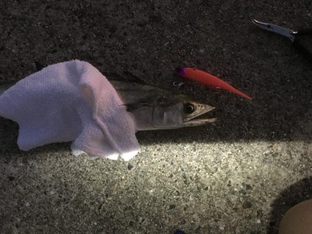 最後まで厳しく