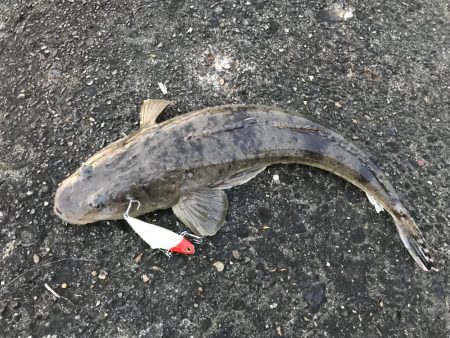 時間つぶしでまさかの！？