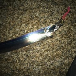 小雨でも土曜日