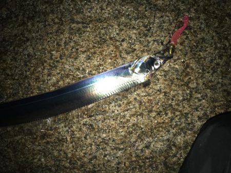 小雨でも土曜日