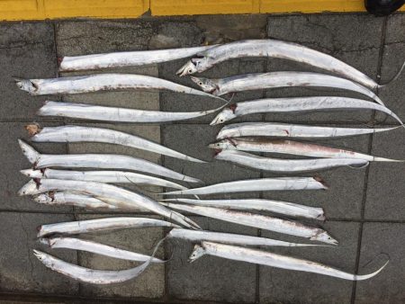 サイズが小さくなってきました。