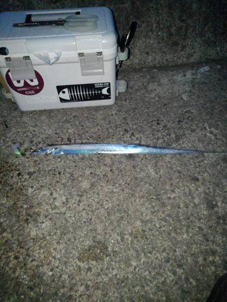 太刀魚の塩焼き求めて⁉️