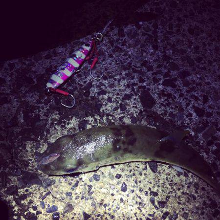 ポイント選択ミス