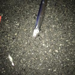 小雨のタチウオ調査！渋いっ…。