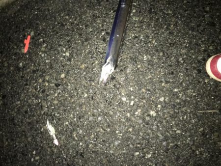 小雨のタチウオ調査！渋いっ…。