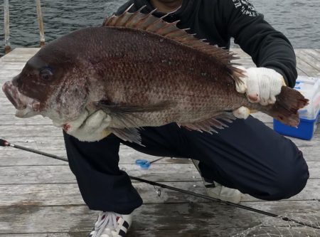 海上釣堀辨屋にて