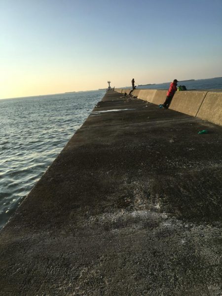 こんなもんでしょ