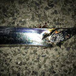 ダブルヘッダー‼️