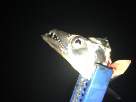 タチウオ専用ロッド