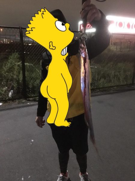 タチウオ初心者