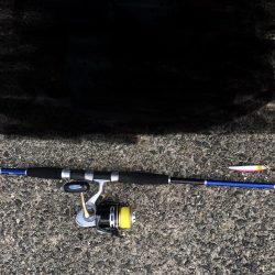 予報とは違うが