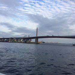 お手軽ワーム釣り