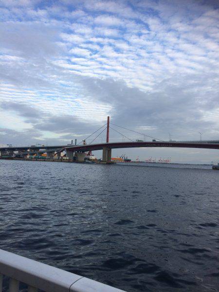 お手軽ワーム釣り