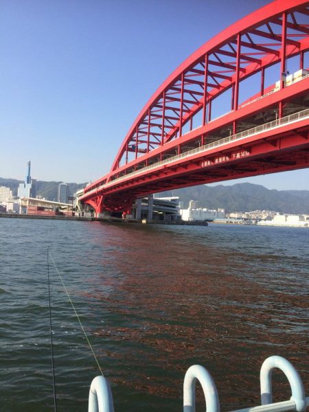 久しぶりのタチウオ