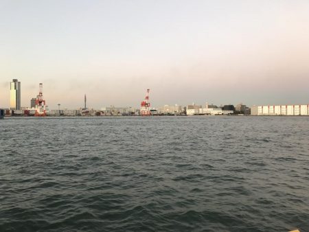 寒くなって来た！