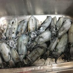 台風後…台風前釣行！