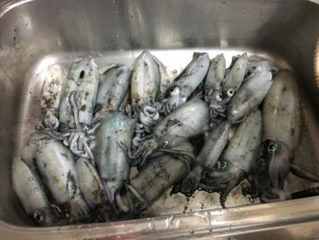 台風後…台風前釣行！