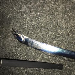 濁りで、魚もこんらん？