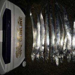 デイサーベリング